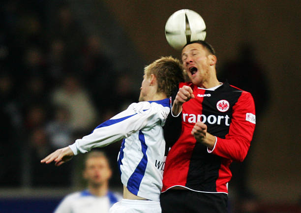 引入了几名 引入了几名