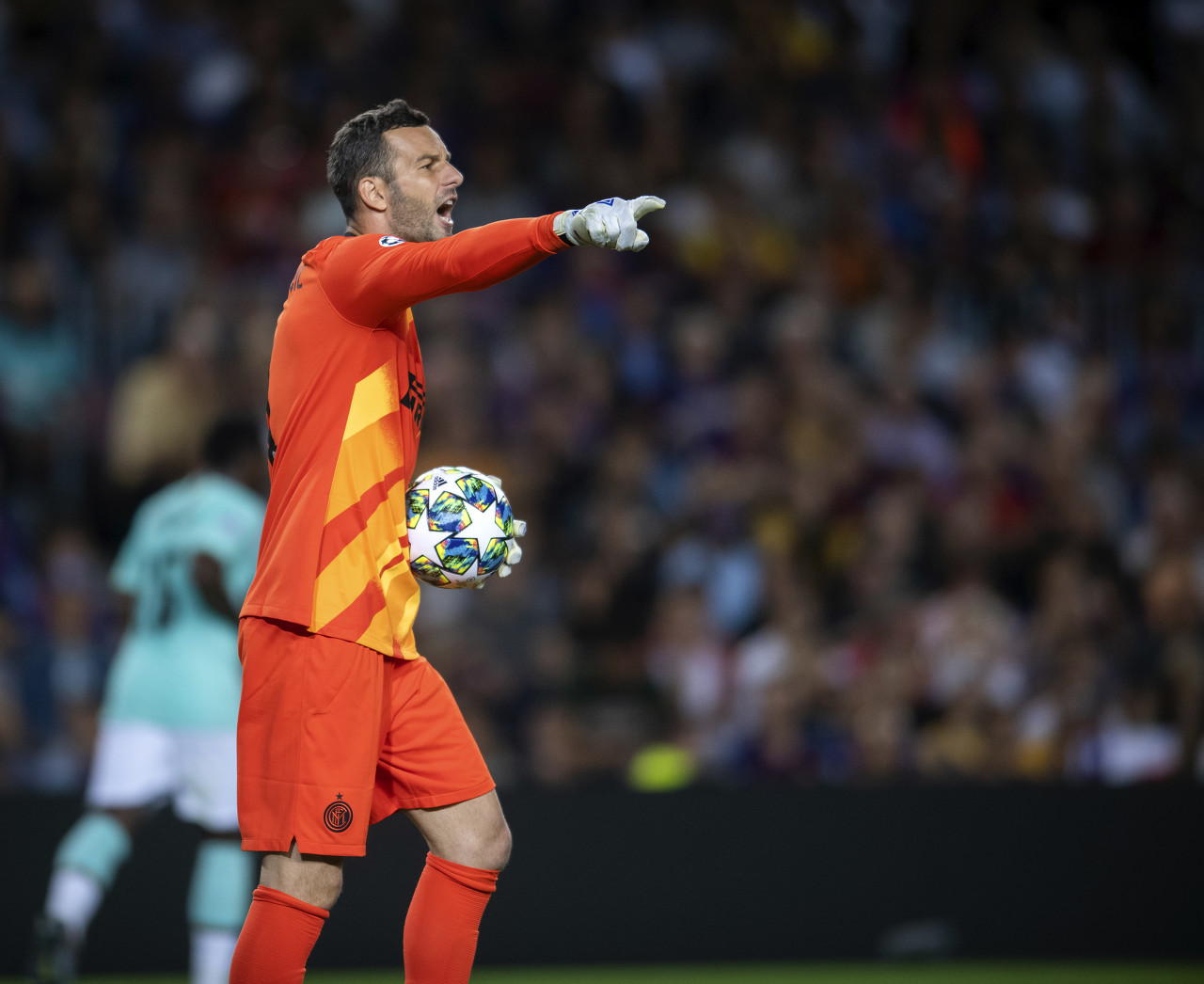 这种言论既 这种言论既